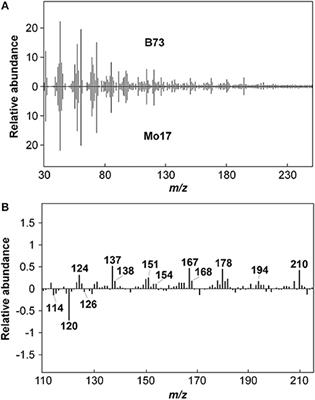 High Throughput Screening Technologies in Biomass Characterization